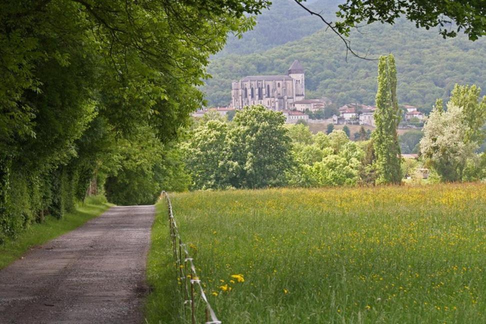 Chateau De Vidaussan Labroquere Exteriér fotografie